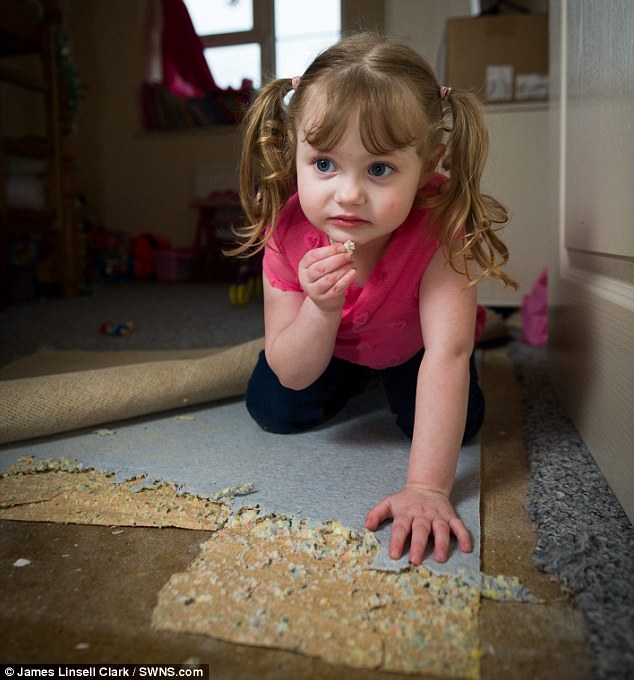 [新聞] 不是巧克力　4歲女童最愛零食：地毯墊
